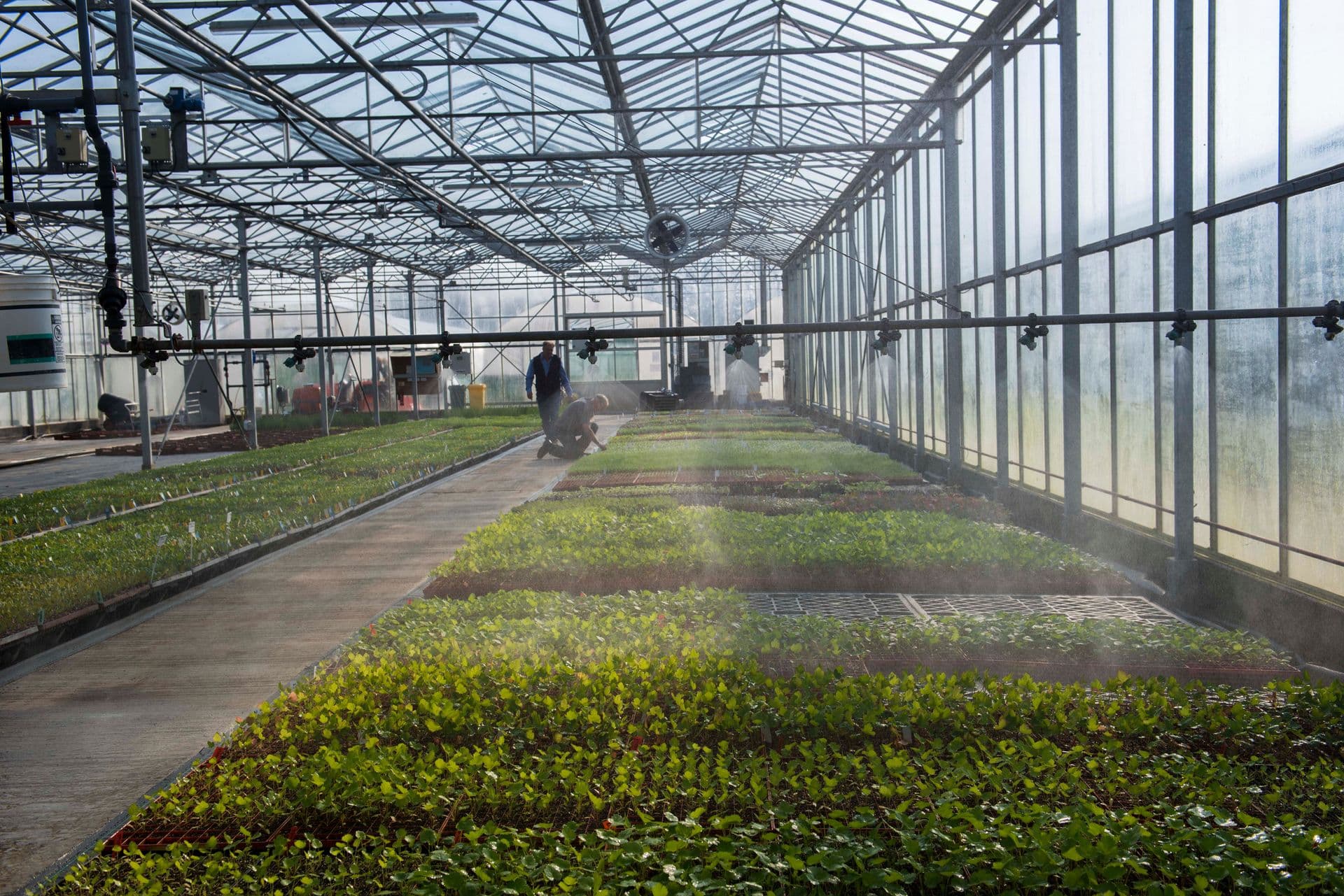 Unlocking the power of plants